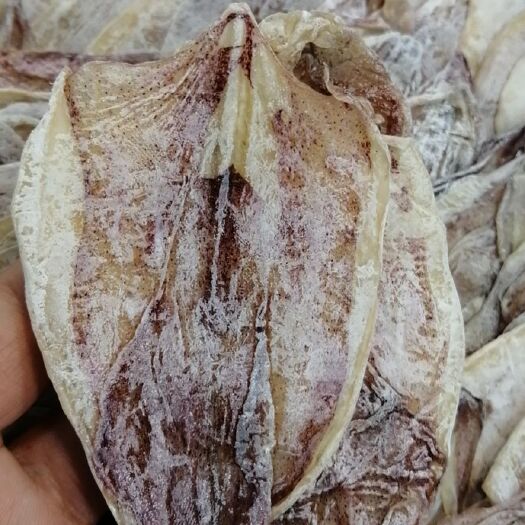 广州烧烤手撕鱿鱼干大量批发