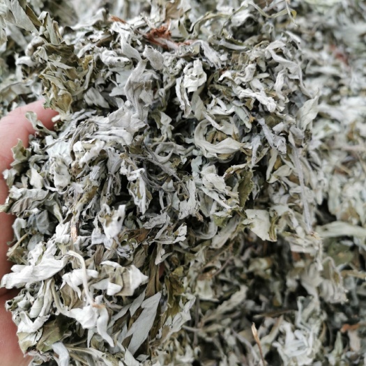 艾草  优质无污染高山艾叶