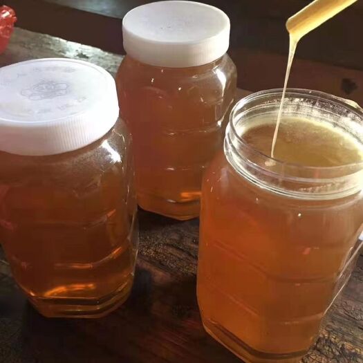 惠州 纯正鸭木脚冬蜂蜜