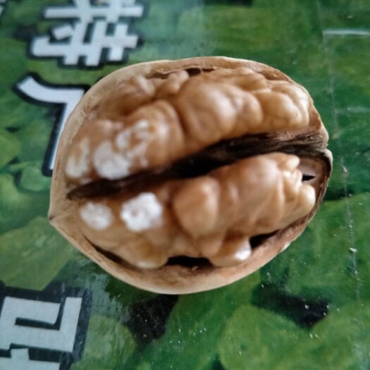 乐陵市新疆核桃果实饱满新疆薄皮核桃产地直销新疆核桃批发