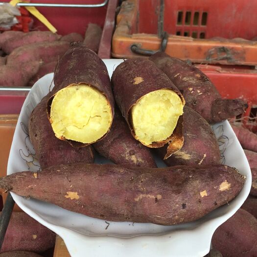 海南板栗薯 批发 一件代发包邮 桥头地瓜 日式香薯产地直发