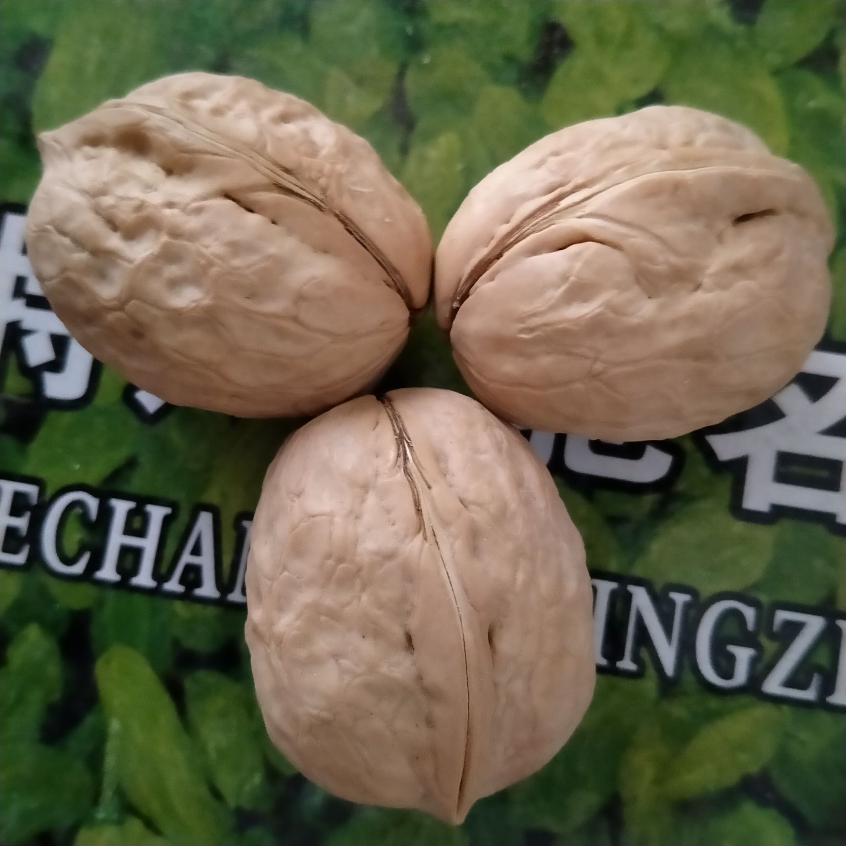 新疆核桃果實(shí)飽滿新疆薄皮核桃產(chǎn)地直銷新疆核桃批發(fā)