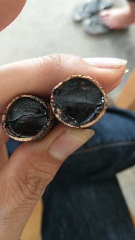金平县辣木籽 腊肠果