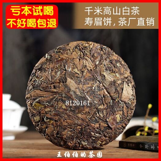 福鼎市茶厂】2014年福鼎白茶饼寿眉贡眉高山老白茶太姥山茶叶批发