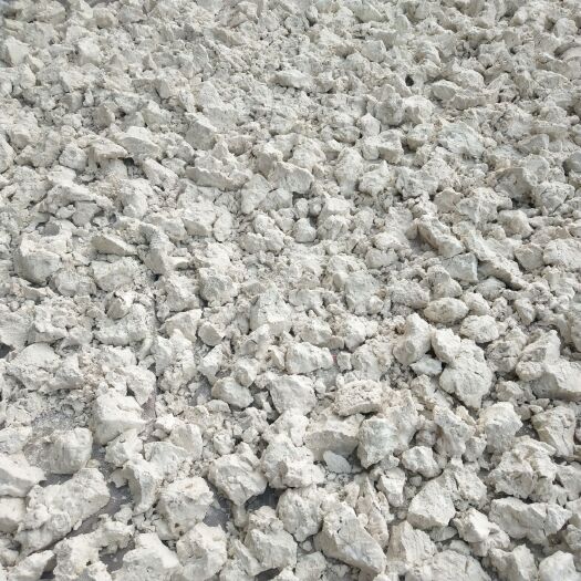 阜南县 上万斤红薯粉出售地址许堂乡李唐村马道刘金宝售