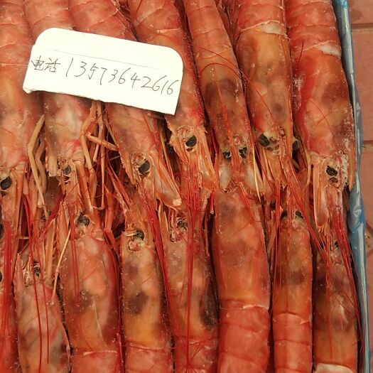 昌乐县阿根廷红虾 阿根廷L1号大量批发一九年新货保证大红一级全国发货