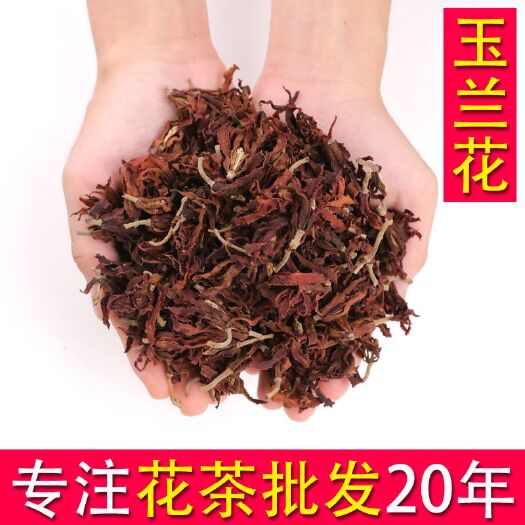 亳州 玉兰花茶 干花无硫正品花茶批发