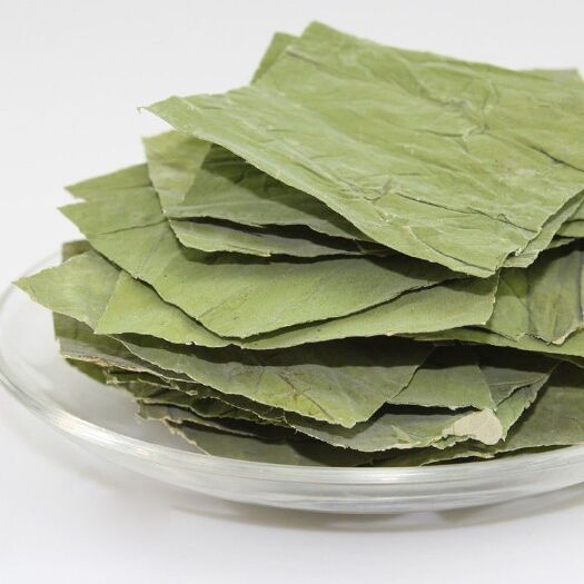 亳州荷叶茶 菏叶茶 颗粒茶 方片正品无硫 专营批发
