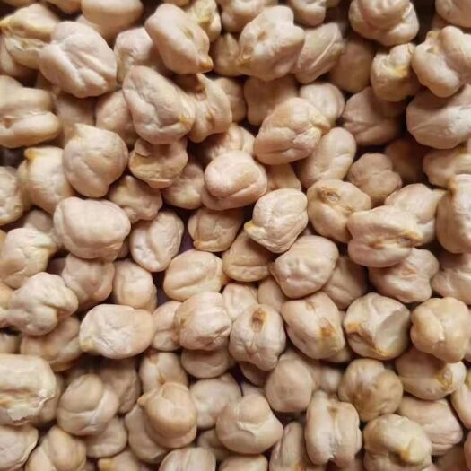 天津 印度鹰嘴豆