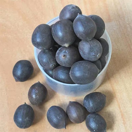 荆州铁莲子 特级 1