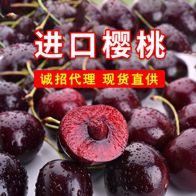 进口樱桃cherryhill 智利车厘子礼盒装新鲜孕妇水果