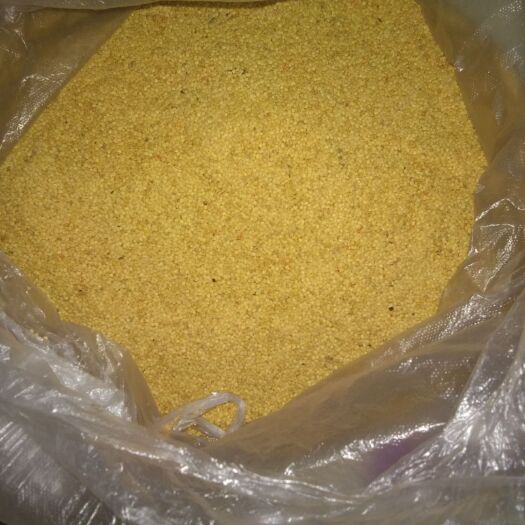 四平姑娘果种子 中草药——红姑娘种子