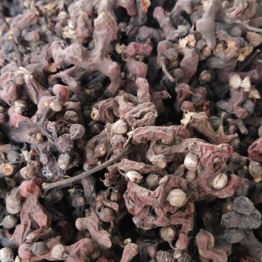 玉林红拐枣
