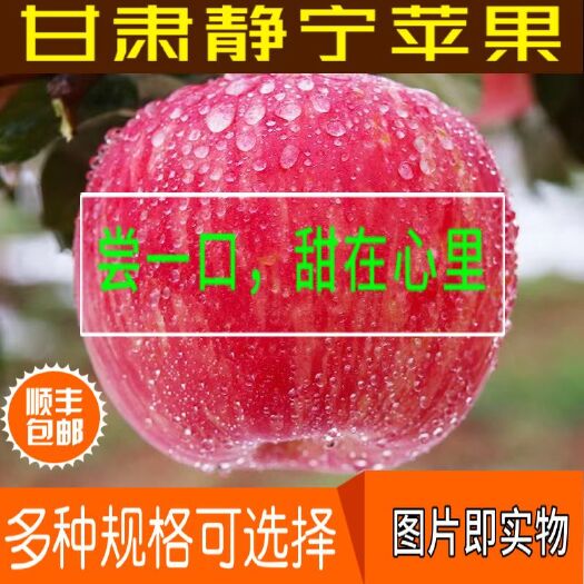 静宁县冰糖心苹果 【脆甜冰糖心】静宁县仁大红富士农家自产无农药不打蜡欢迎选购