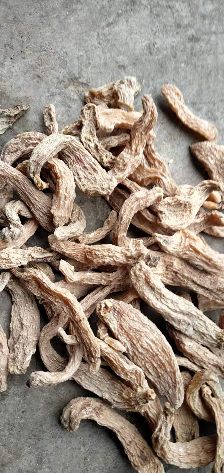  天麻