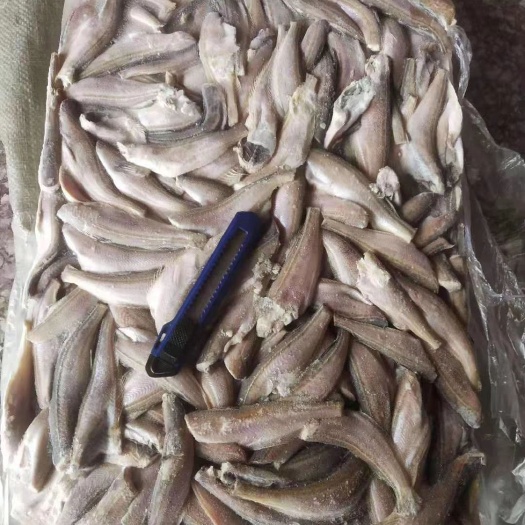 荣成市冷冻雷鱼 三去板冻雷鱼