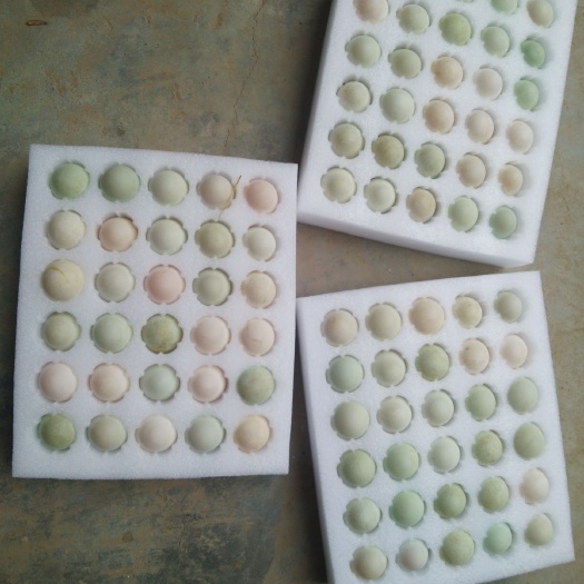 宁陵县白羽青壳鸭蛋 食用 箱装