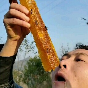滨州 蜂蜜