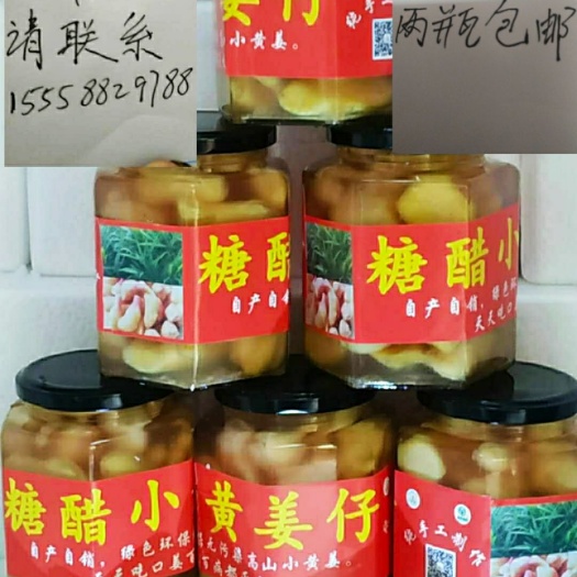 文成县酱姜 瓶装 24个月以上