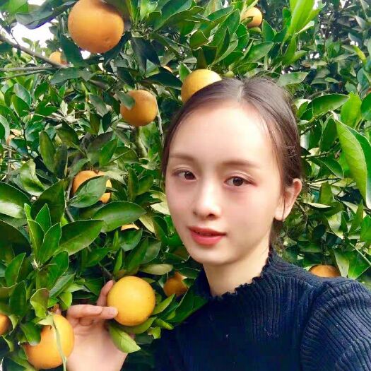 赣州纽荷尔脐橙 正宗赣南纽荷尔 长虹 圆红产地直销物美价廉