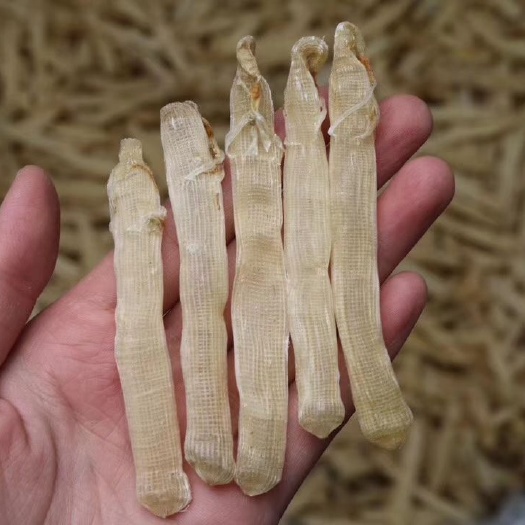 贵港干沙虫 这批颜色好，白净，干度特好，有肾虚腰痛、阴虚