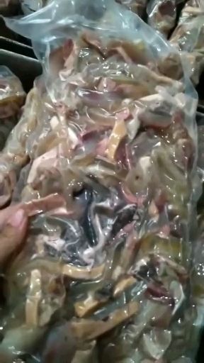 阳信县 优质牛杂