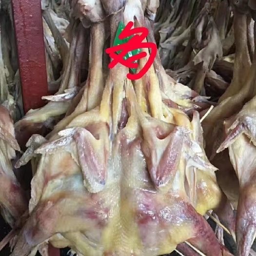 长沙腊鸡 风干鸡(养殖场直供）