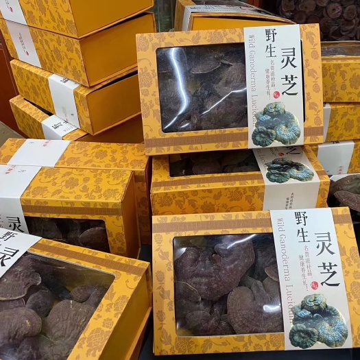 昆明灵芝礼盒