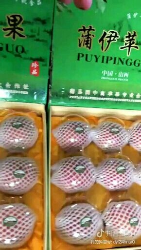 蒲县红富士苹果 蒲伊红富士