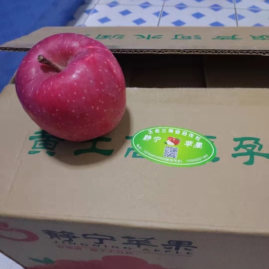 静宁县 静宁苹果水晶红富士精品果