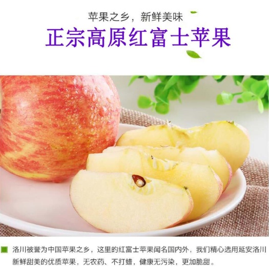 静宁县 静宁县仁大苹果之乡