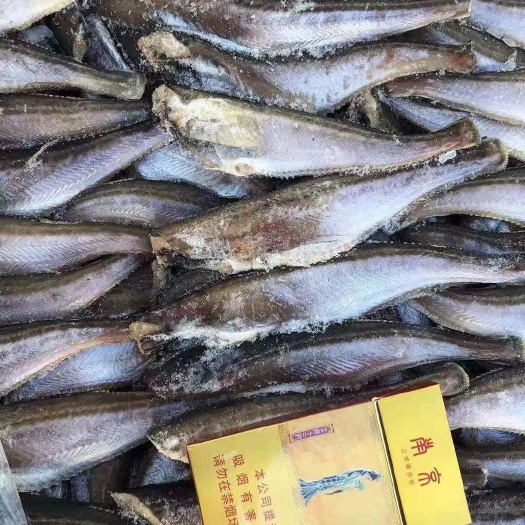 荣成市雷鱼 三去单冻
