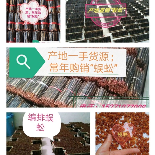 宜城市 蜈蚣