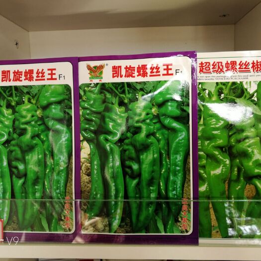 螺丝椒种子  大果型螺丝椒，早熟产高，抗病强，基地推荐品种