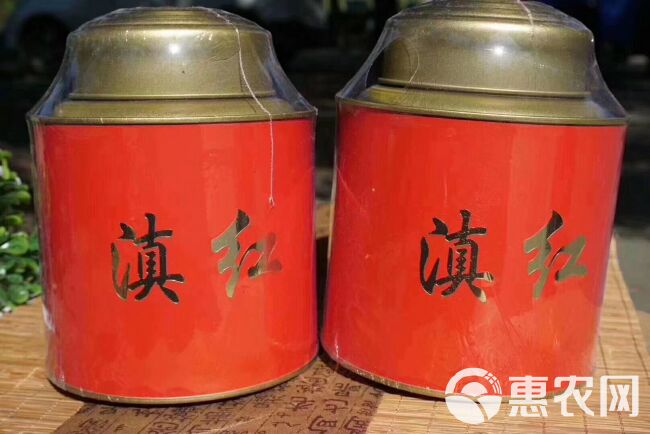  蜜香金螺红茶 云南凤庆滇红 单芽红碧螺 250g一罐