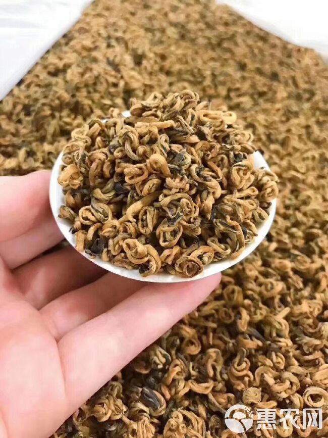  蜜香金螺红茶 云南凤庆滇红 单芽红碧螺 250g一罐