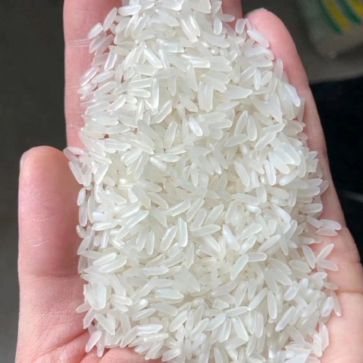泗洪县稻花香大米 物美价廉