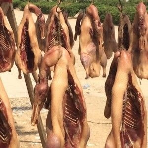 枞阳县腌鹅 农家腌制口感好，价格优，欢迎先购！