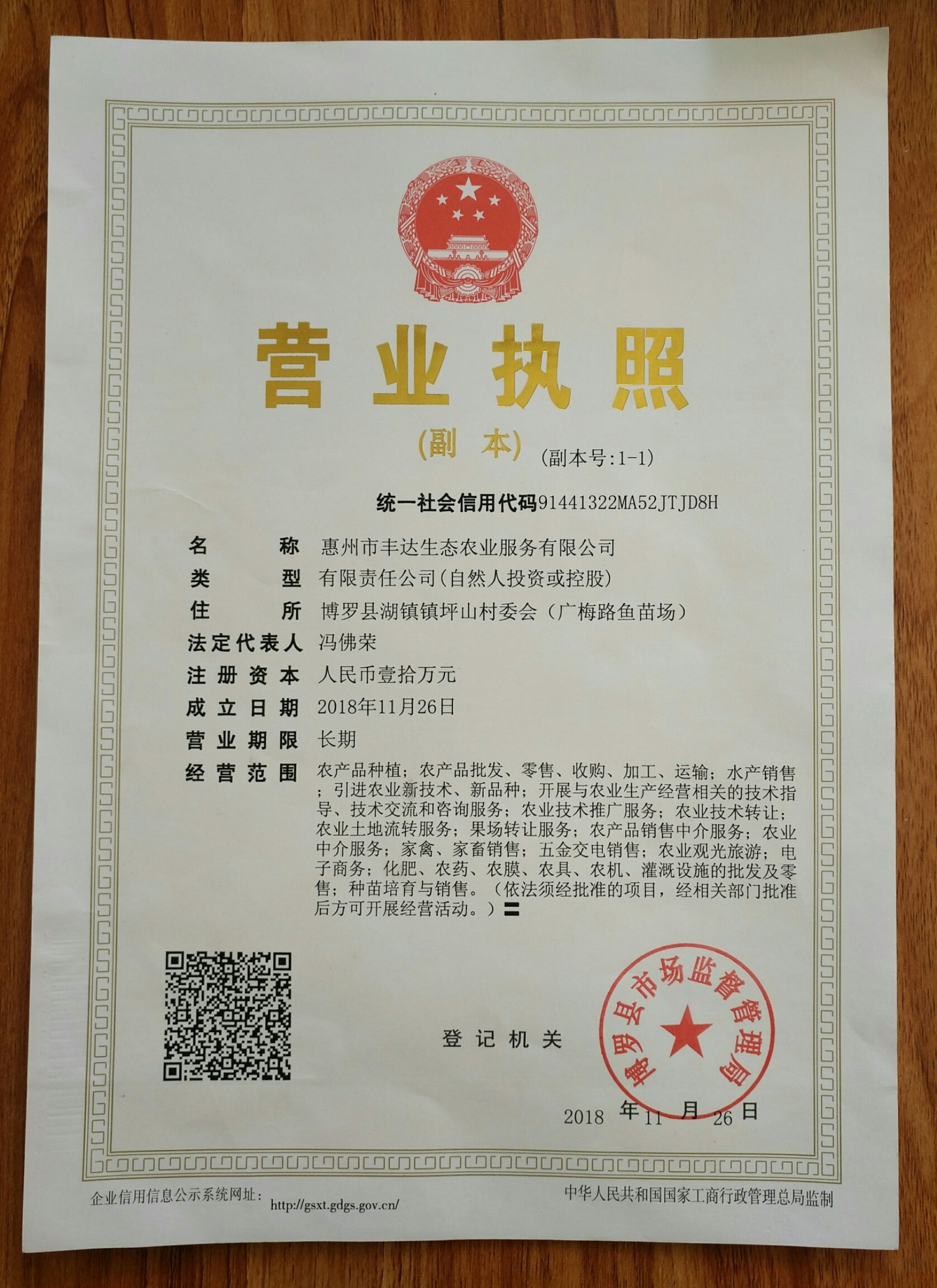 巨龙红心火龙果苗
