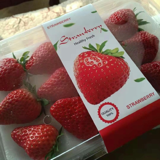 顺平县 久久奶油草莓价格可UI