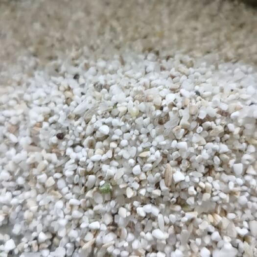 方正县 饲料碎米