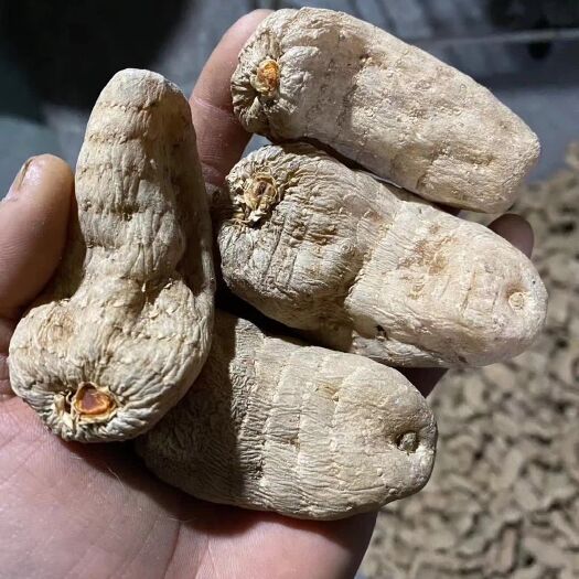 略阳县 特级干天麻