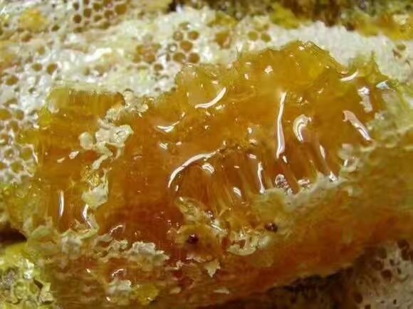 土蜂蜜 农家自产自销，假一赔十，