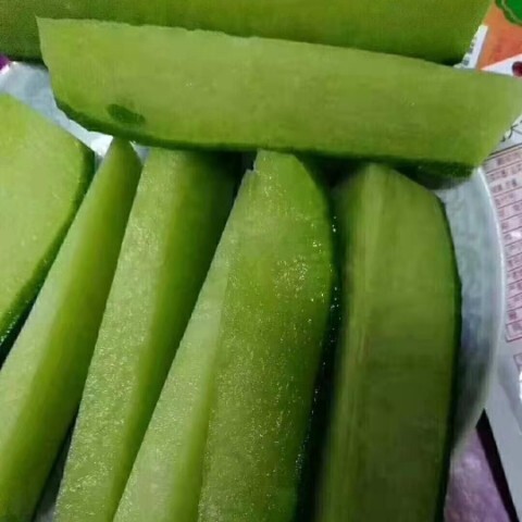 天津 天津沙窝萝卜种植基地 水果萝卜