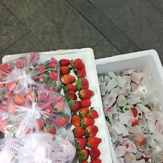 深圳 法蓝帝 香甜草莓
