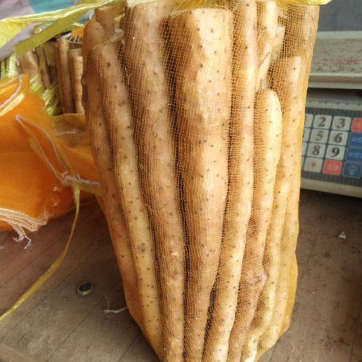 东阿县 网袋山药大量批发