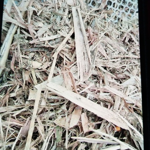 淮北玉米秸秆 最优质的货源