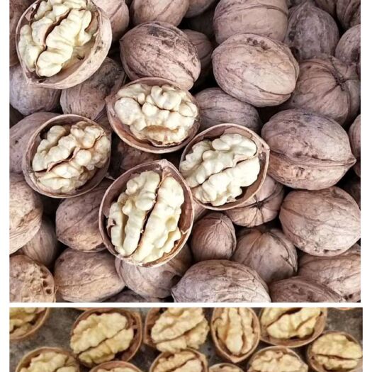 郑州 新疆185纸皮核桃皮薄肉厚健胃