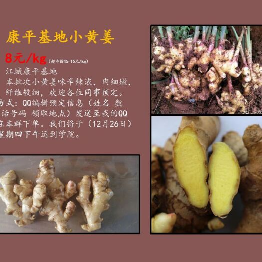 思茅 本地生态小黄姜。