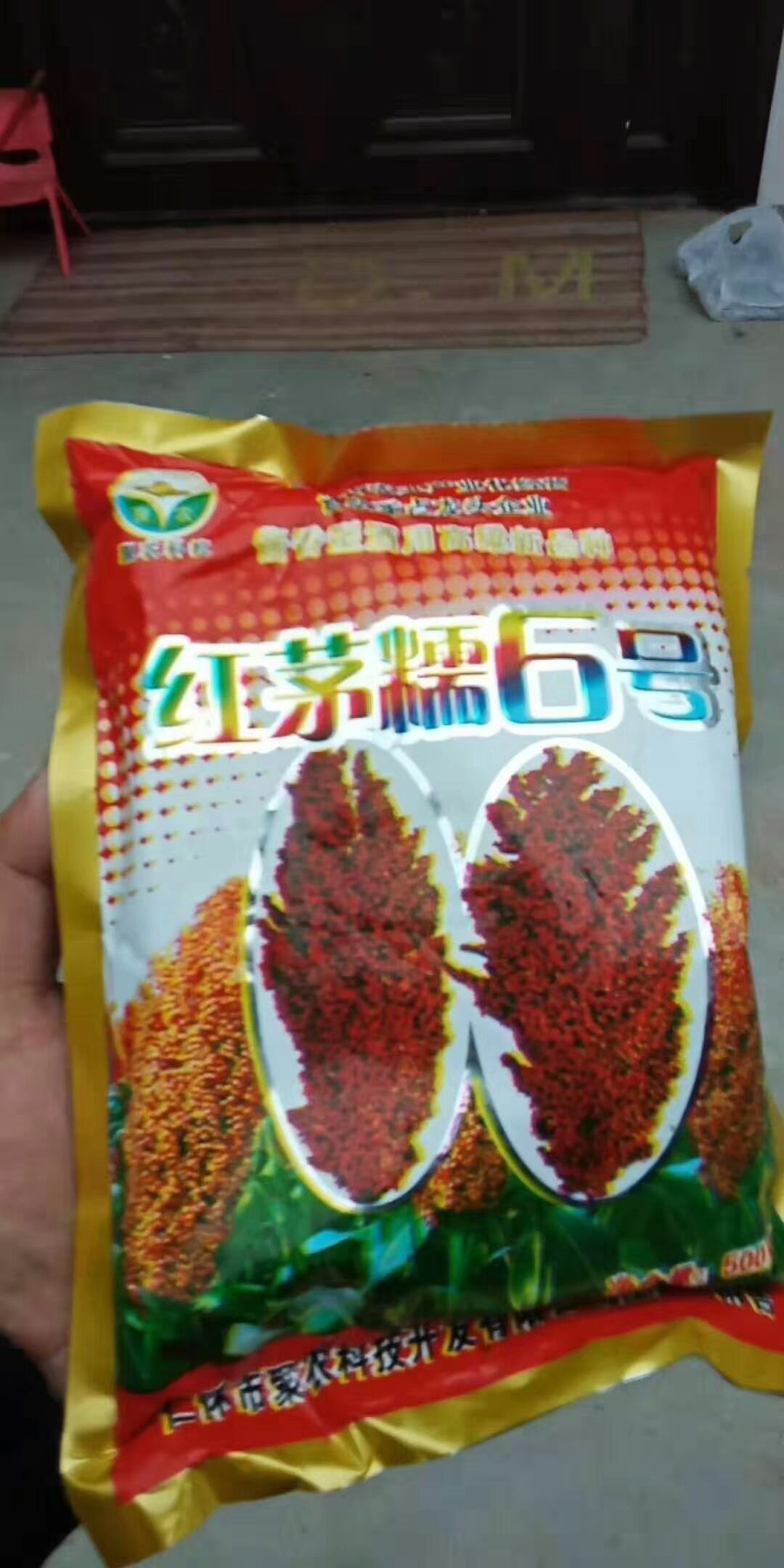  高粱种子